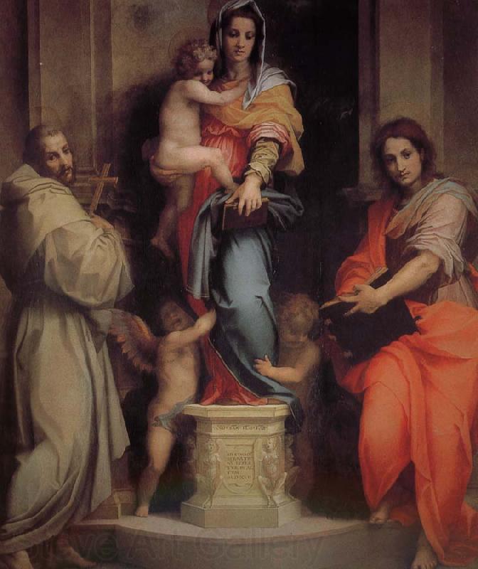 Andrea del Sarto Apia Our Lady of Egypt France oil painting art